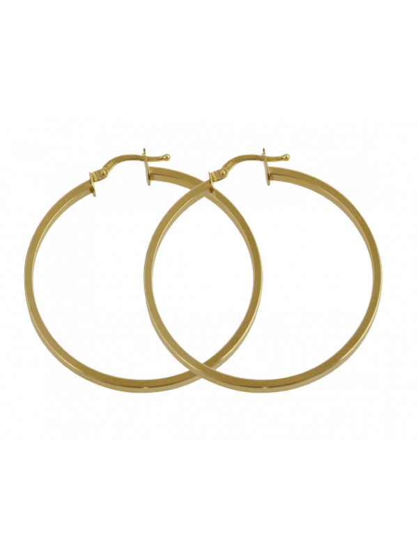 Σκουλαρίκια  κρίκοι